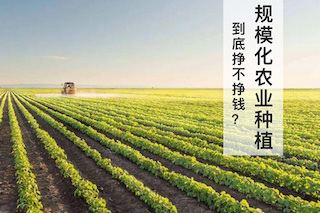 規(guī)?；r(nóng)業(yè)種植不賺錢？別鬧了，那是你不會(huì)經(jīng)營導(dǎo)致的