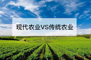 現(xiàn)代農(nóng)業(yè)VS傳統(tǒng)農(nóng)業(yè)，誰會(huì)更勝一籌？