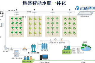 如何選擇水肥一體化設(shè)備？從這幾個(gè)方面入手！