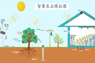 智慧農(nóng)業(yè)種植中，需要用到哪些傳感器？