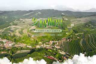 三農(nóng)一號文件工作重心，再次聚焦鄉(xiāng)村振興