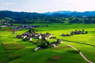 智慧農(nóng)業(yè)進(jìn)入新階段，從這些角度促進(jìn)鄉(xiāng)村振興