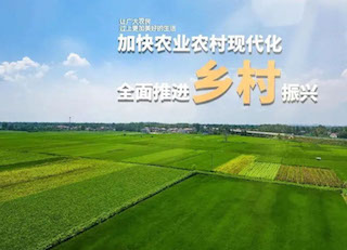 國(guó)家大力發(fā)展鄉(xiāng)村振興，但需要規(guī)避的五種傾向你知道嗎？