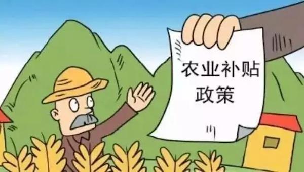 申請農(nóng)業(yè)補貼需注意哪些事項.jpeg