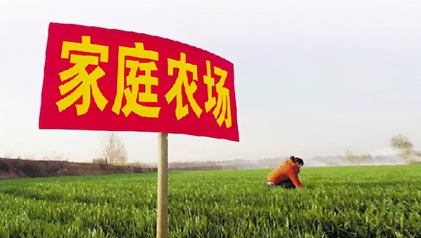 什么是家庭農(nóng)場？.jpeg