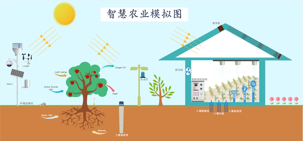 智慧農(nóng)業(yè)種植中，需要用到哪些傳感器.jpg