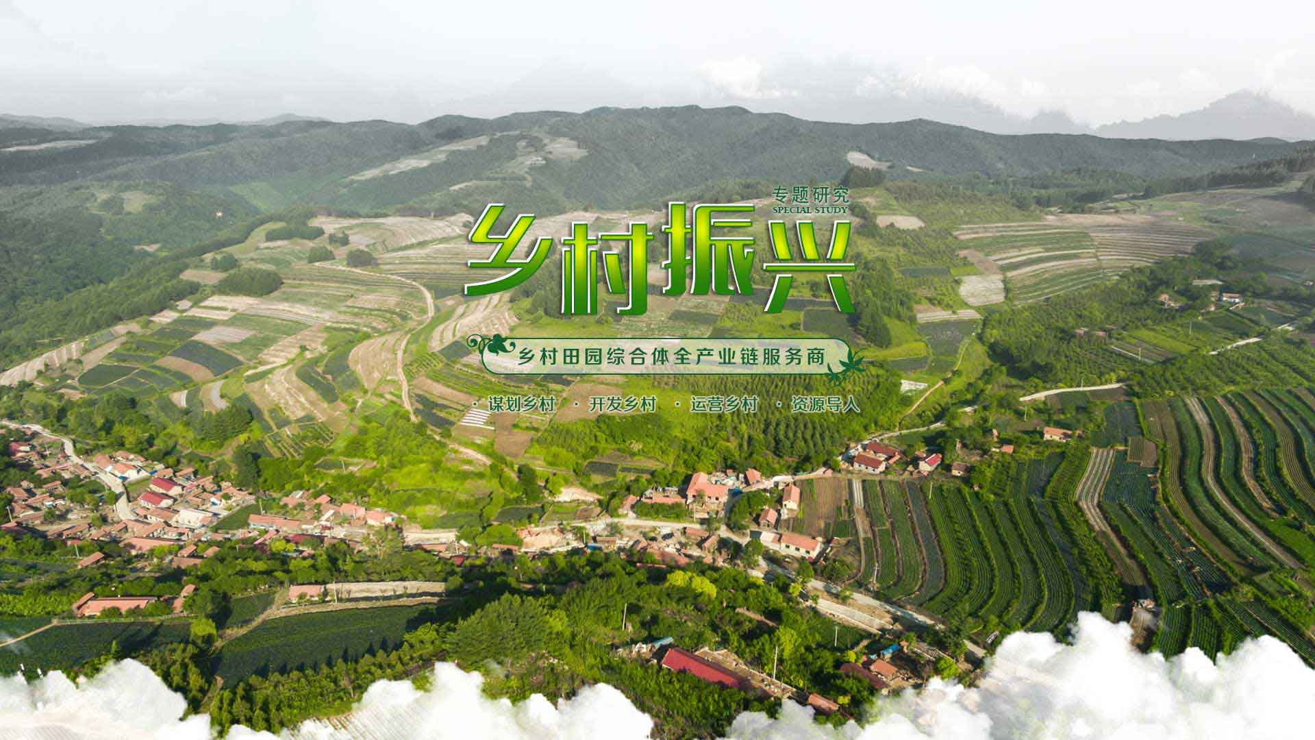 鄉(xiāng)村振興是農(nóng)業(yè)一號文件的重點.jpg