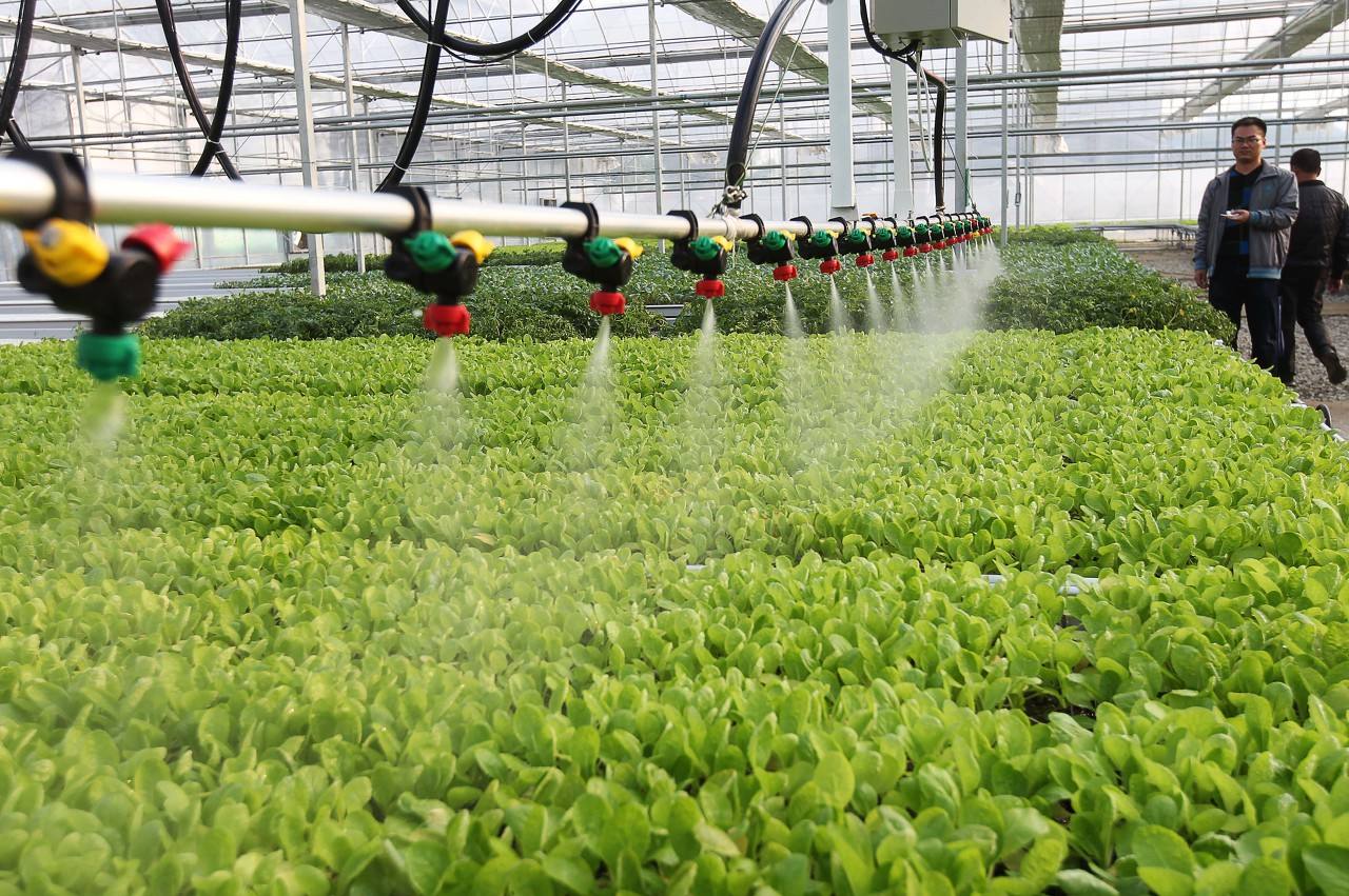 使用水肥一體機(jī)對于種植有哪些好處？.jpg