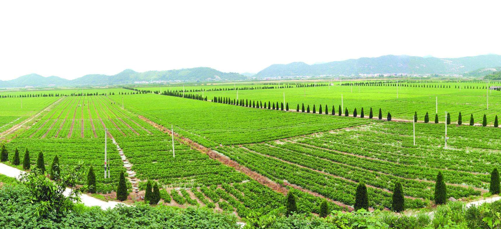 發(fā)達(dá)國家的智慧農(nóng)業(yè)是什么樣的？.jpg