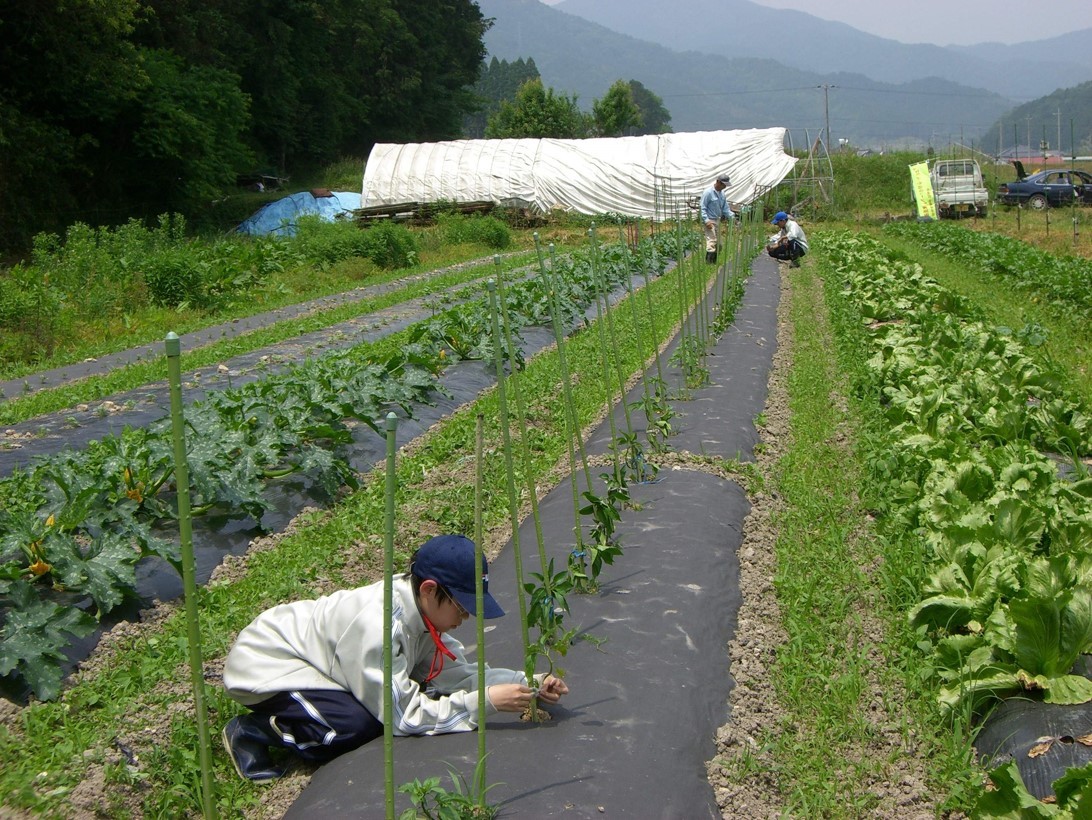 我們可以借鑒美國、日本的農(nóng)業(yè)發(fā)展模式，尋找屬于自己的農(nóng)業(yè)發(fā)展道路。.jpg
